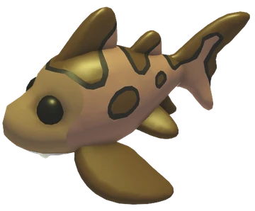 Leopard Shark