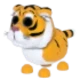 Lunar Tiger