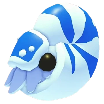 Nautilus