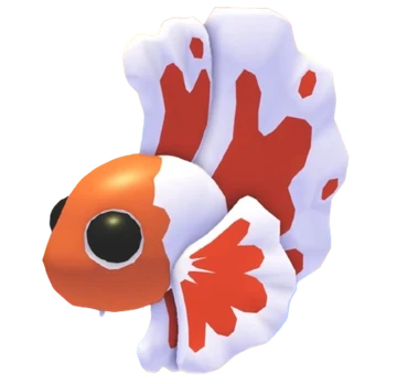 Orange Betta Fish