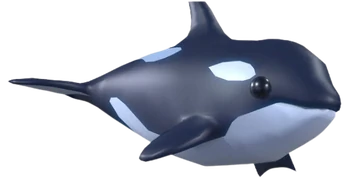 Orca