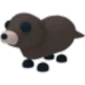 Otter