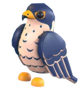 Peregrine Falcon