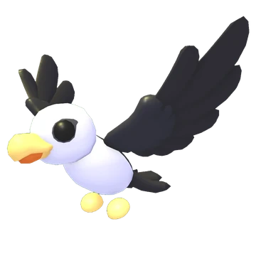 Pilot Gull