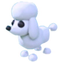 Poodle