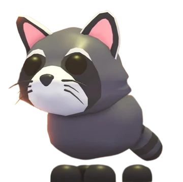 Raccoon