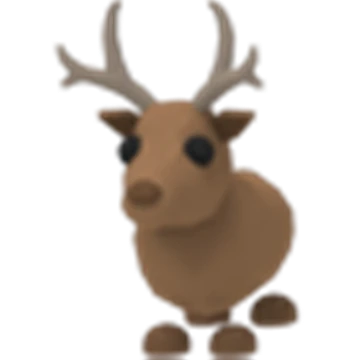 Reindeer