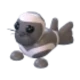 Ribbon Seal