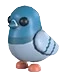 Rock Pigeon