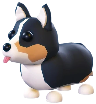 Royal Corgi