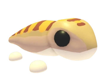 Sandfish