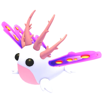 Sea Slug