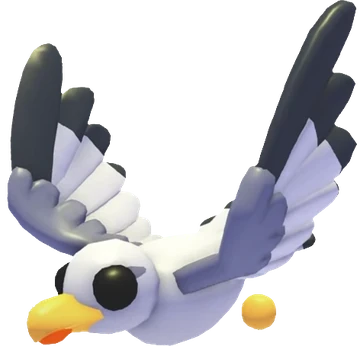 Seagull