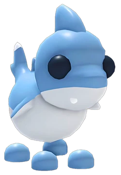 Shark Puppy