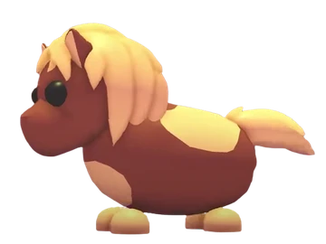 Shetland Pony Dark Brown