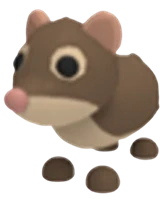 Shrew