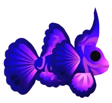 Singularity Pisces