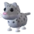 Snow Leopard