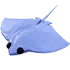 Stingray