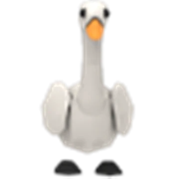 Swan