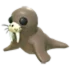 Walrus