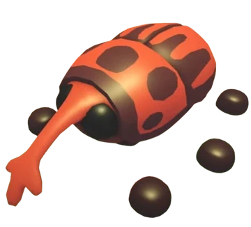 Weevil (Pet)