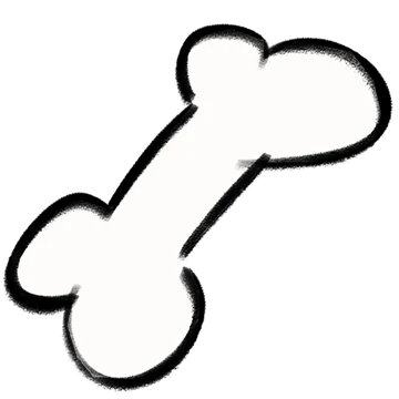2D Bone Chew Toy
