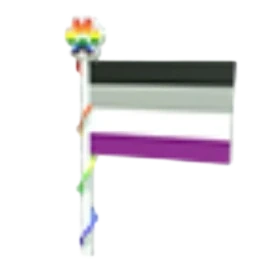 Ace Flag 2023