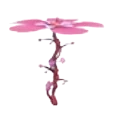 Blossom Propeller