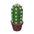 Cactus Plushie Chew Toy