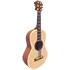 Camper's Guitar