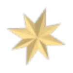 Christmas Star Flying Disc