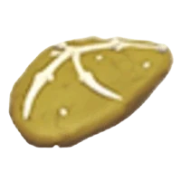 Dimorphodon Fossil