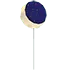 Eclipse Balloon