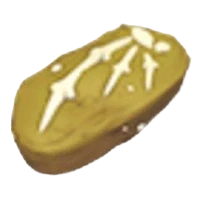 Elasmosaurus Fossil