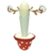 Mushroom Pogo