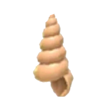 Musical Conch