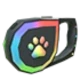 RGB Leash