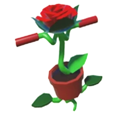 Rose Pogo