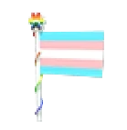 Transgender Flag 2023