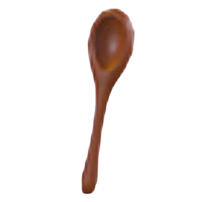 Wooden Spoon Toy