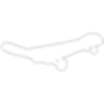 Neon White Skateboard